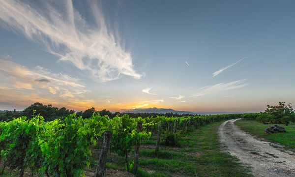 Tuscany - Day Trips