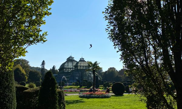 Tagesausflüge in Wien