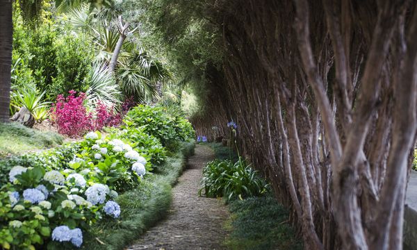 Adventure Tours in Funchal