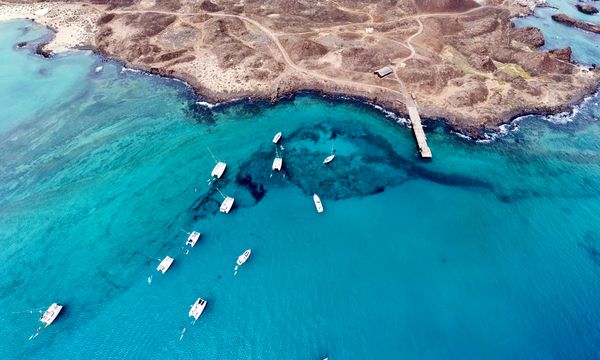 Lobos Island