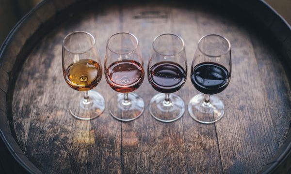 Porto Wine Tasting