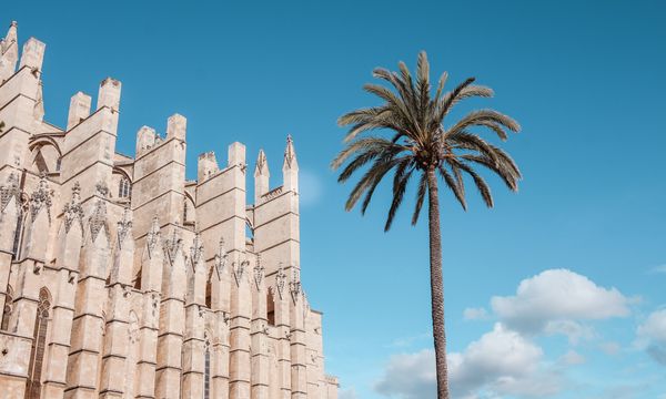 Palma Cathedral 