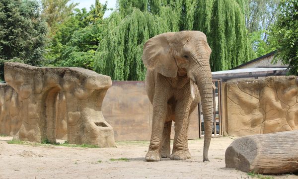 Prague Zoo