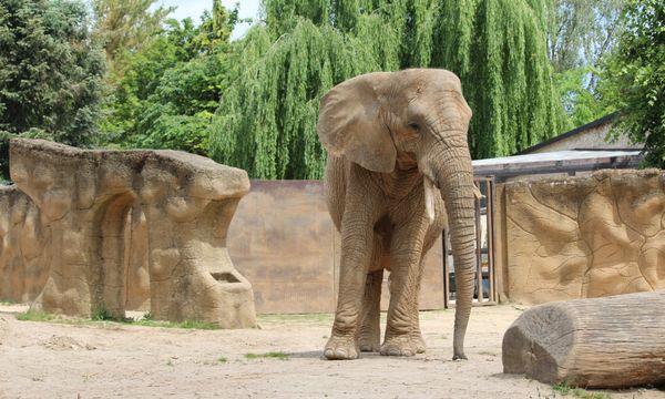 Prague Zoo