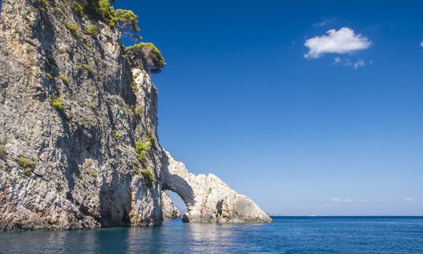Acqua Plus