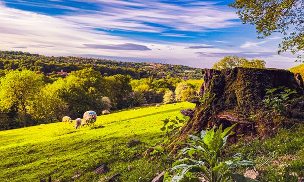 Yorkshire, England