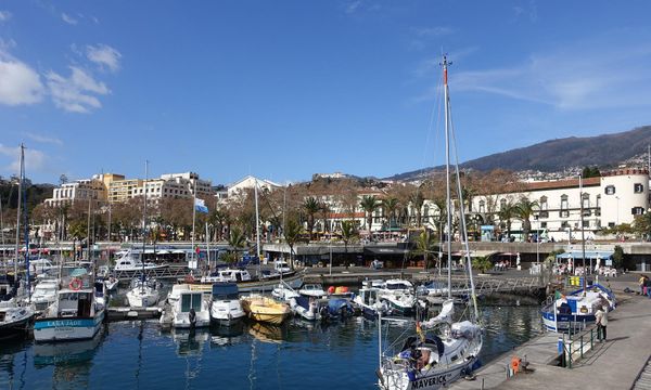 Cruises & Sailing in Funchal