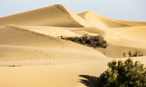 Dunes of Maspalomas