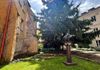review-image