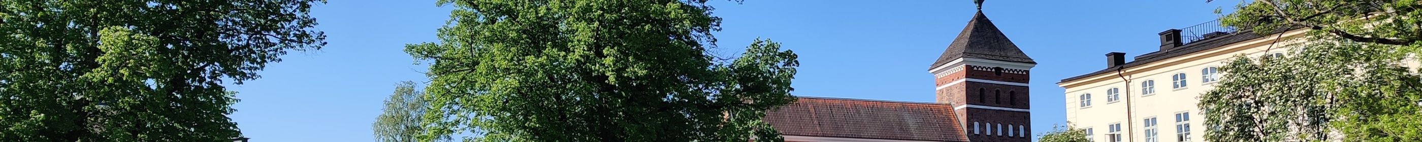Uppsala’s main attractions – a Uppsala walking tour 90min | Experiences