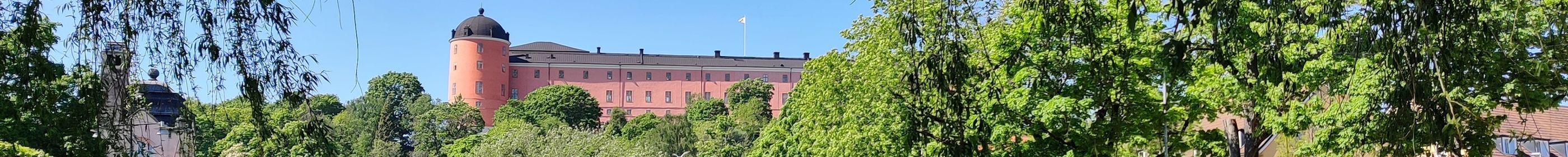 Uppsala’s main attractions – a Uppsala walking tour 90min | Experiences