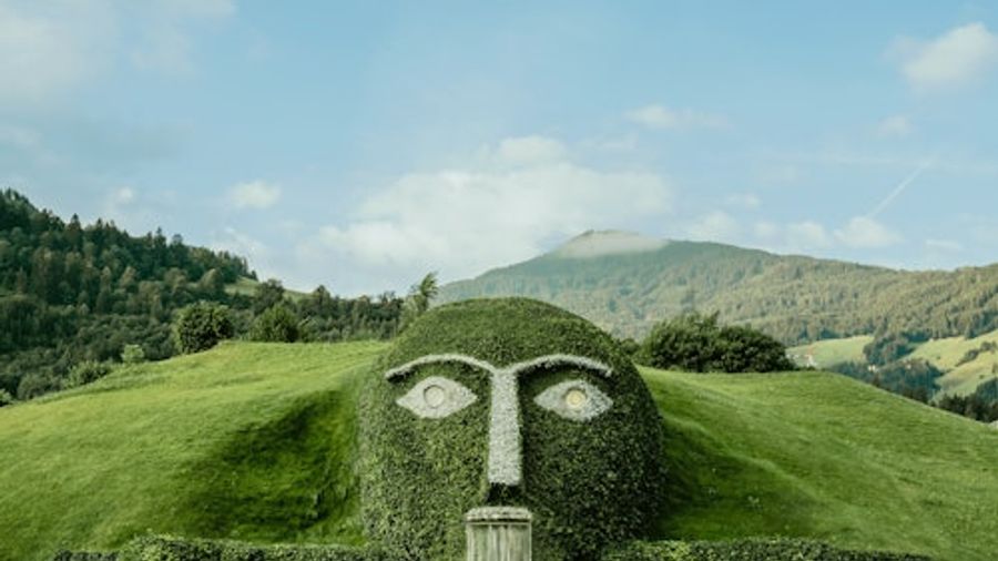 Swarovski Crystal Worlds + Transfer from Innsbruck