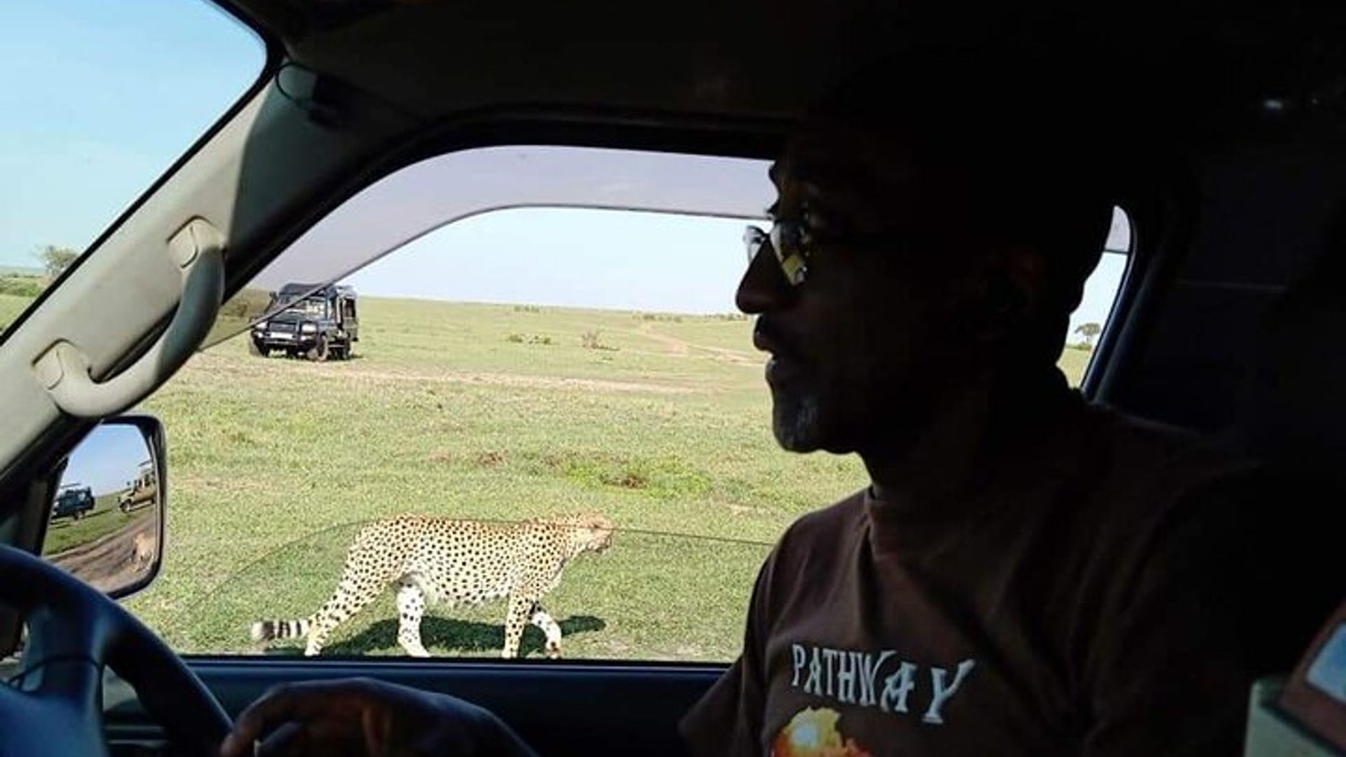 Great Migration safari