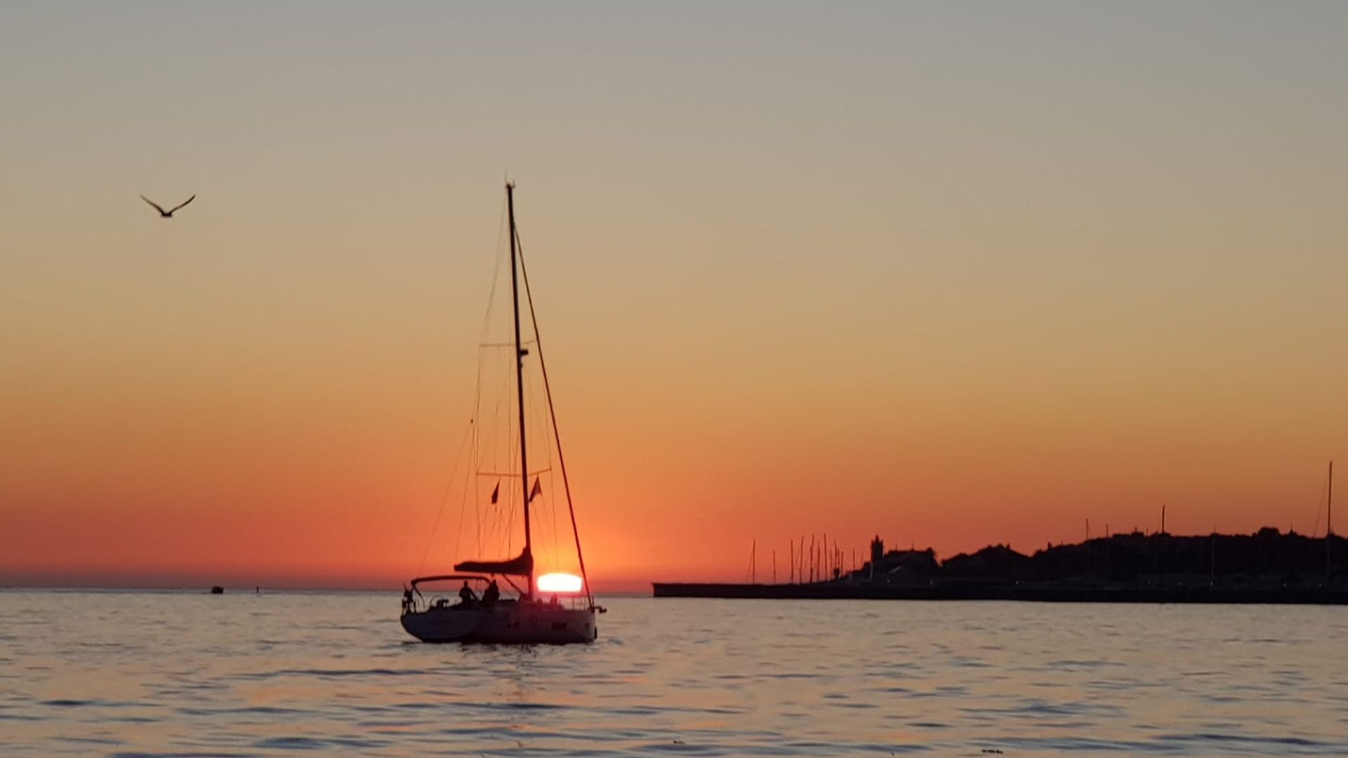 Cascais Sunset Private 2h Cruise with a welcome drink