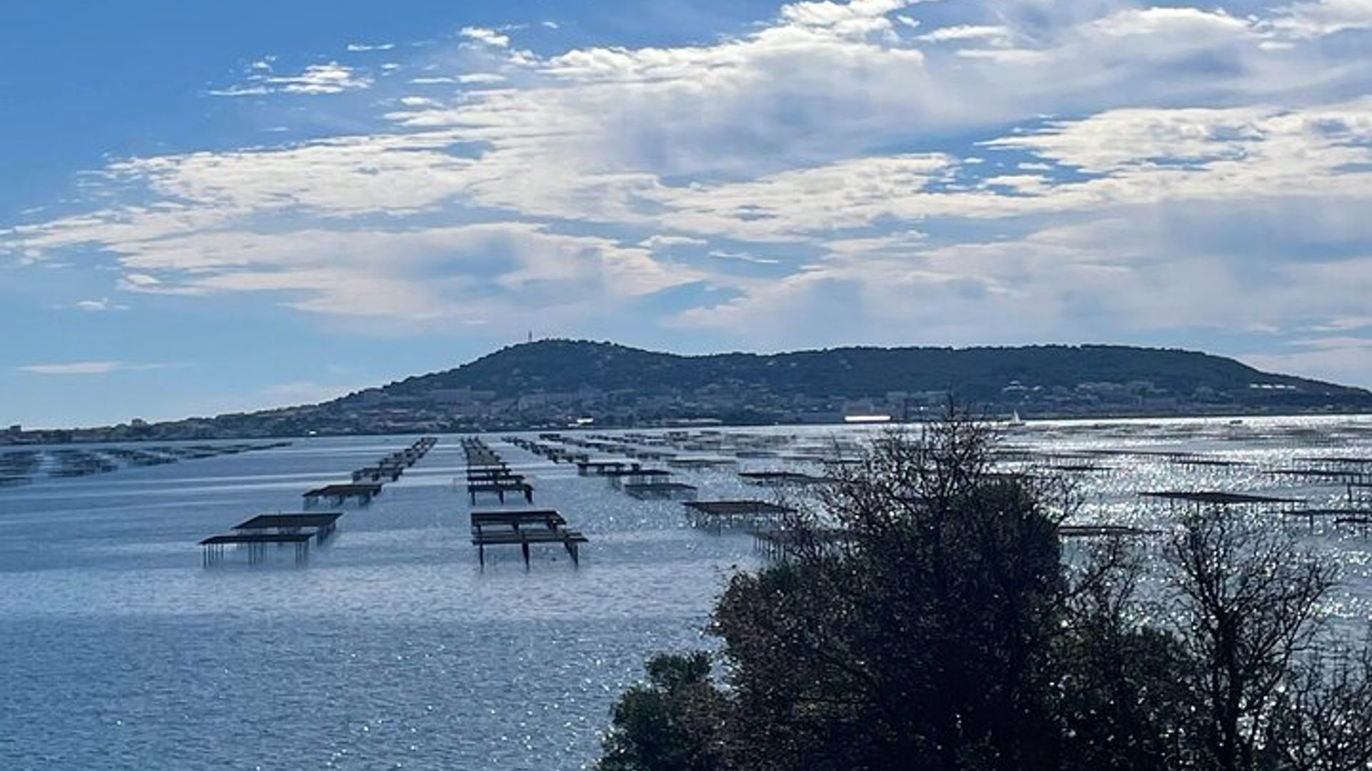 Excursion Sète Journée Visite de Sète Huîtres et Vin