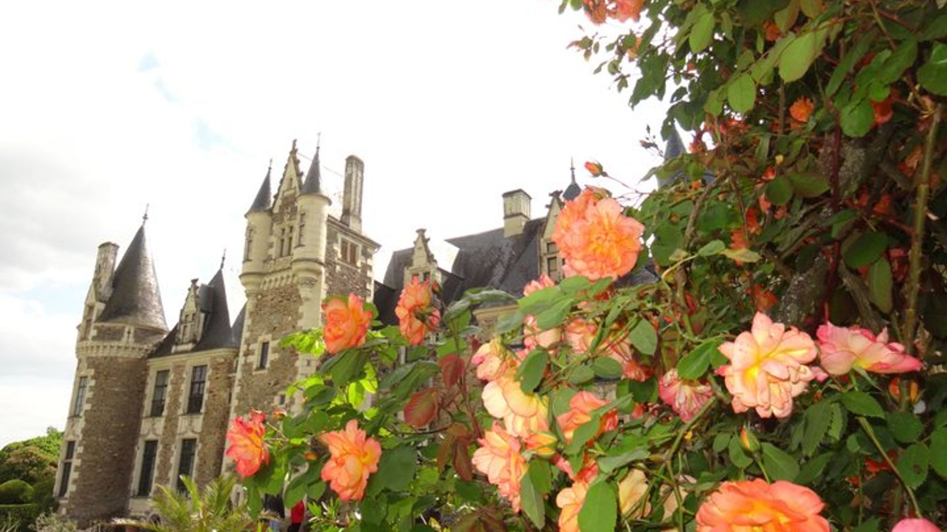 Découverte de jardins au départ d'Angers
