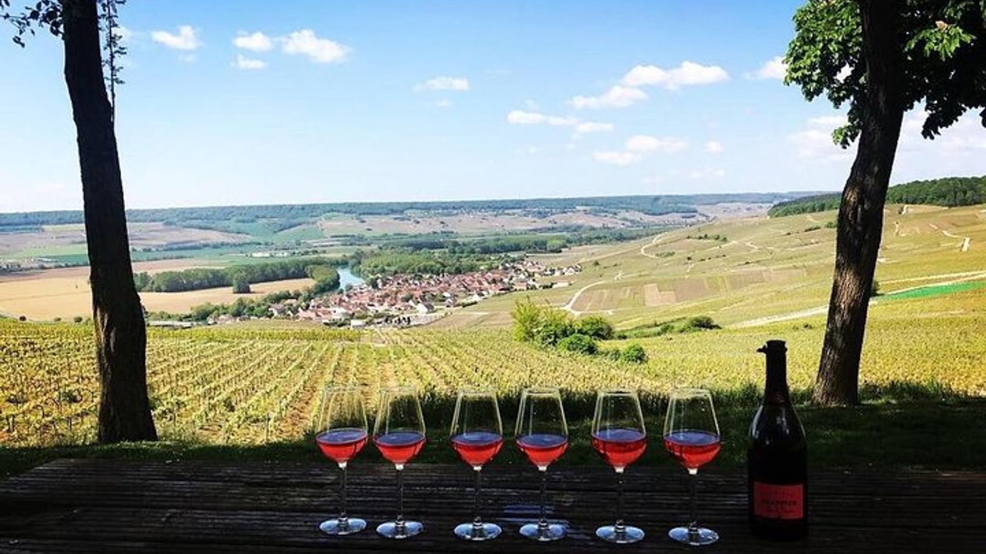 Excursion d'une journée au Champagne au départ de Paris avec 8 dégustations et déjeuner