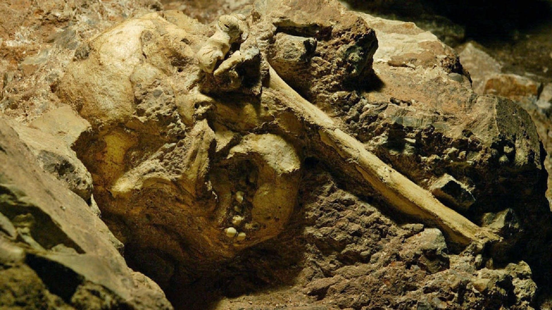 Cradle of Humankind igice cyumunsi cyurugendo kuva Johannesburg