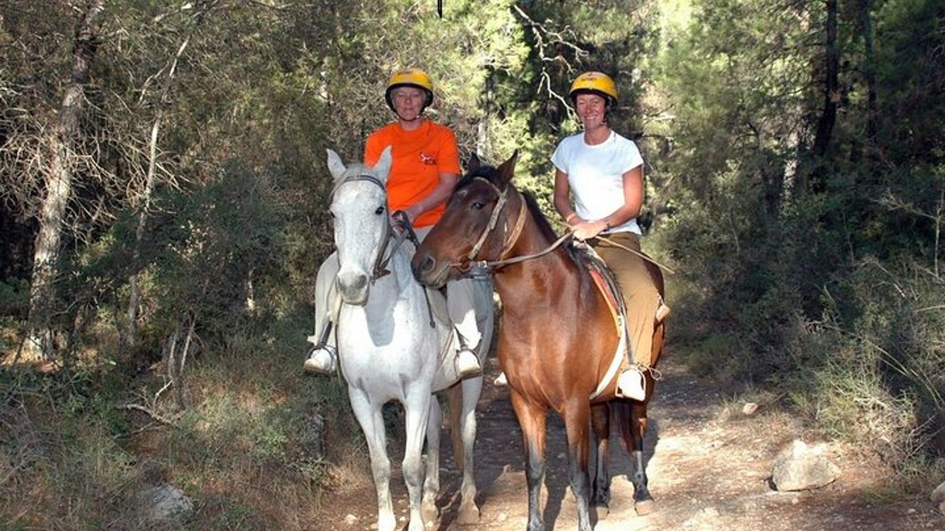 Side Horse Safari in Forest and Beach with Transfer