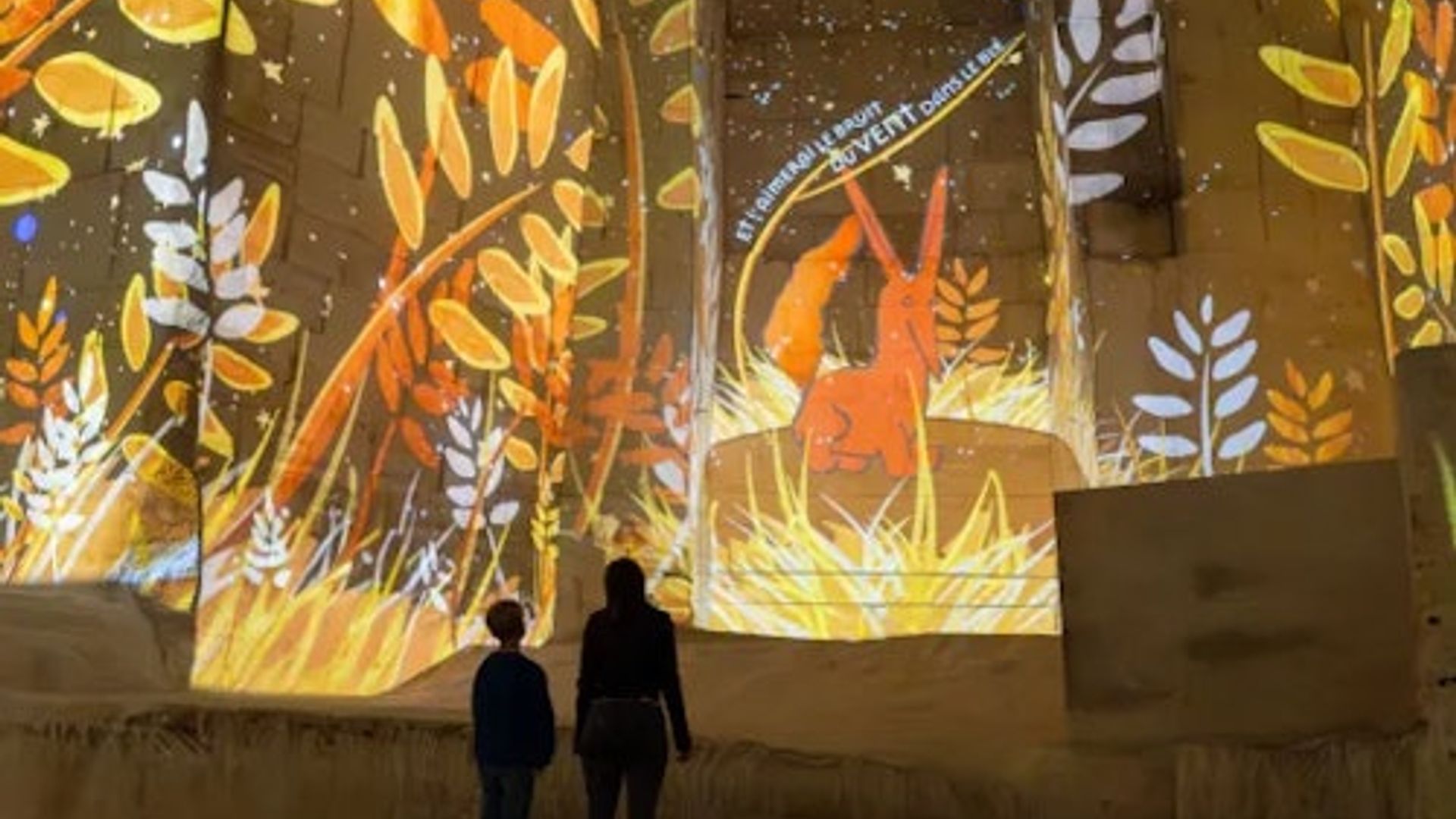 Carrières des Lumières: The Little Prince Exposición