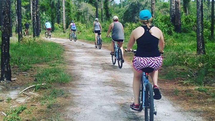 Boyd Hill Nature Preserve Bike Tour from St. Petersburg