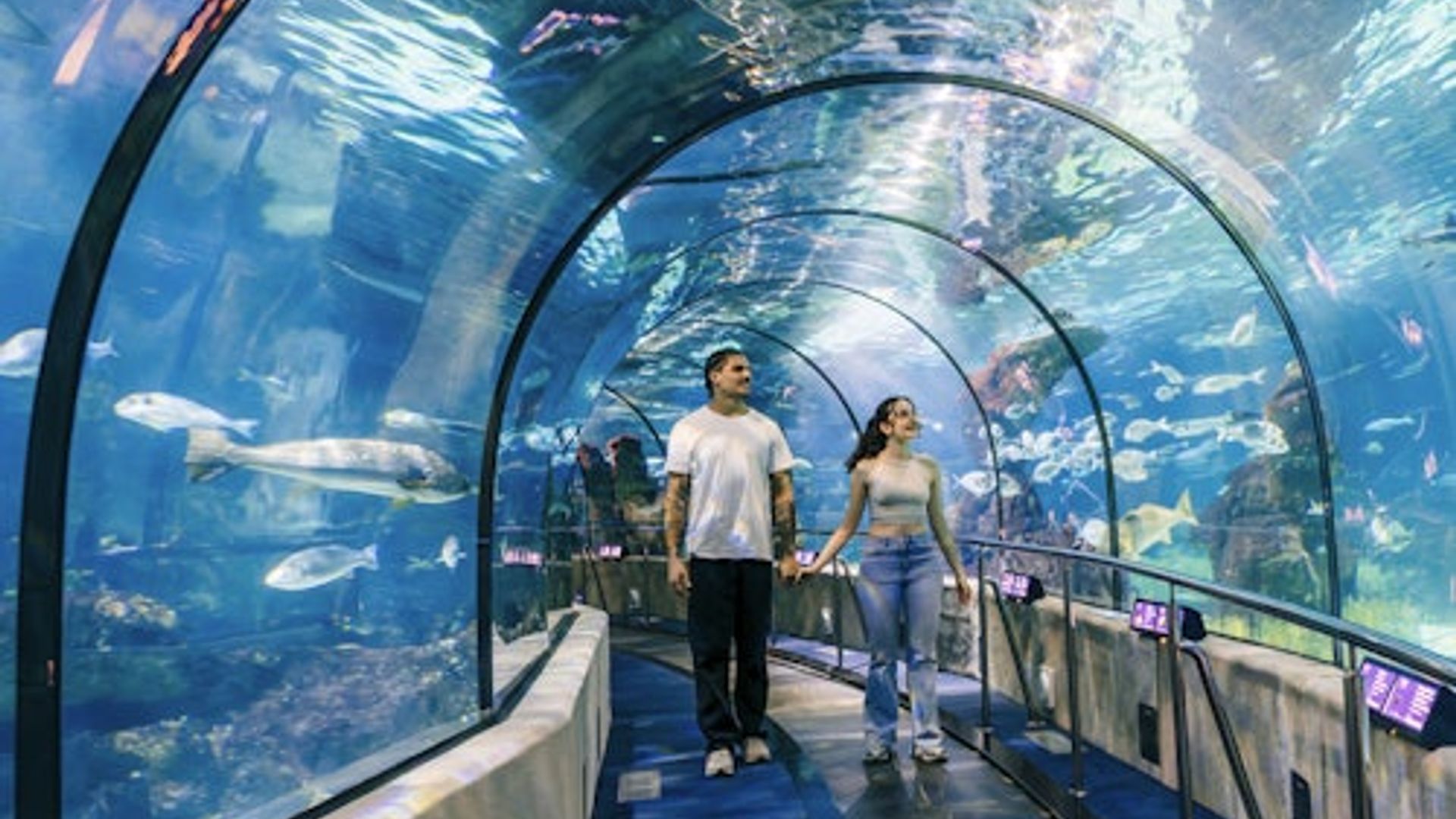 Barcelona Aquarium: Skip The Line