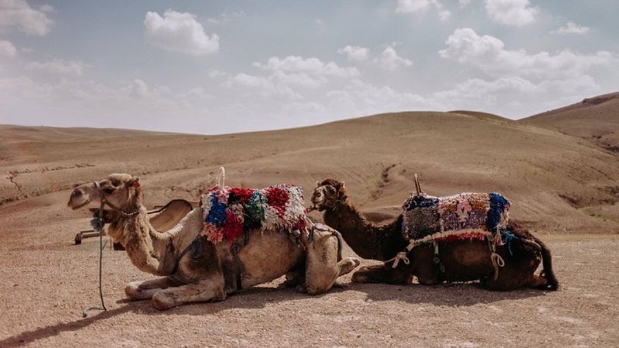 Agafay and Atlas Mountains Day Trip with Camel Riding