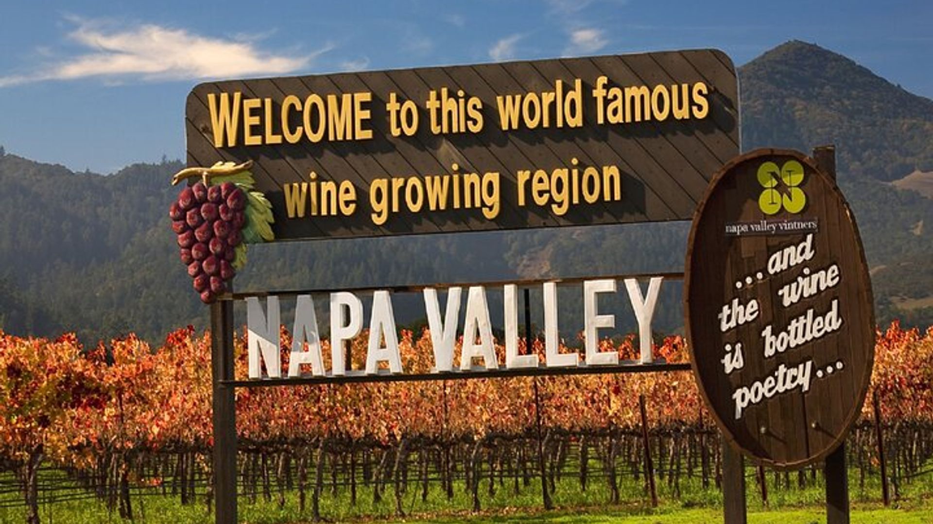 Napa Valley Wine and Food Tasting Tour from San Francisco image 3