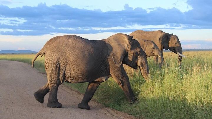 6 Day Soul of Tanzania Safari All Inclusive