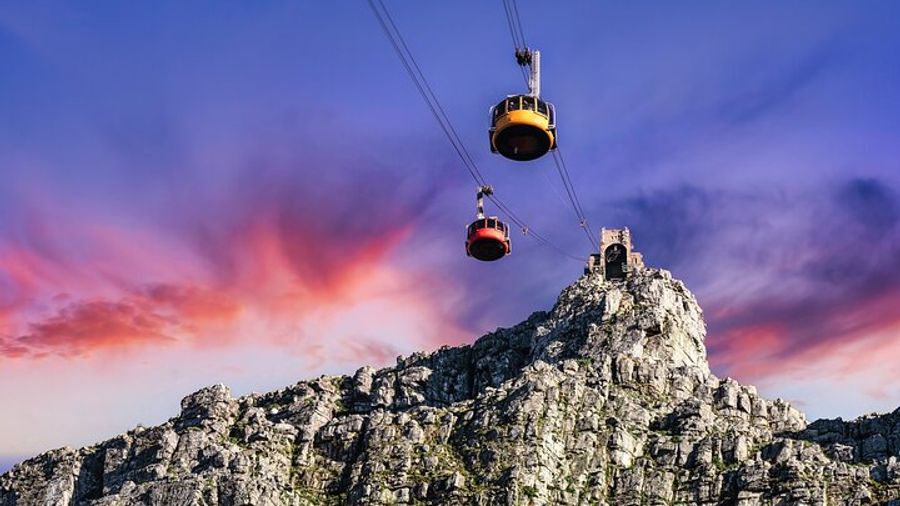 Table Mountain, Penguins, and Cape Point Private Tour