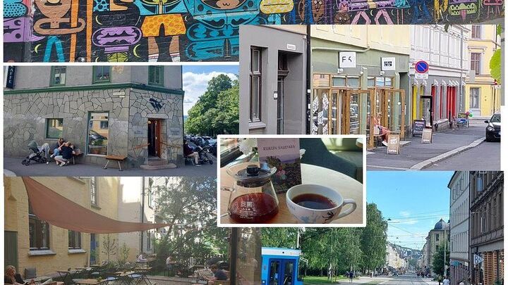 3 Hours Walking Tour for Great Food in Oslo