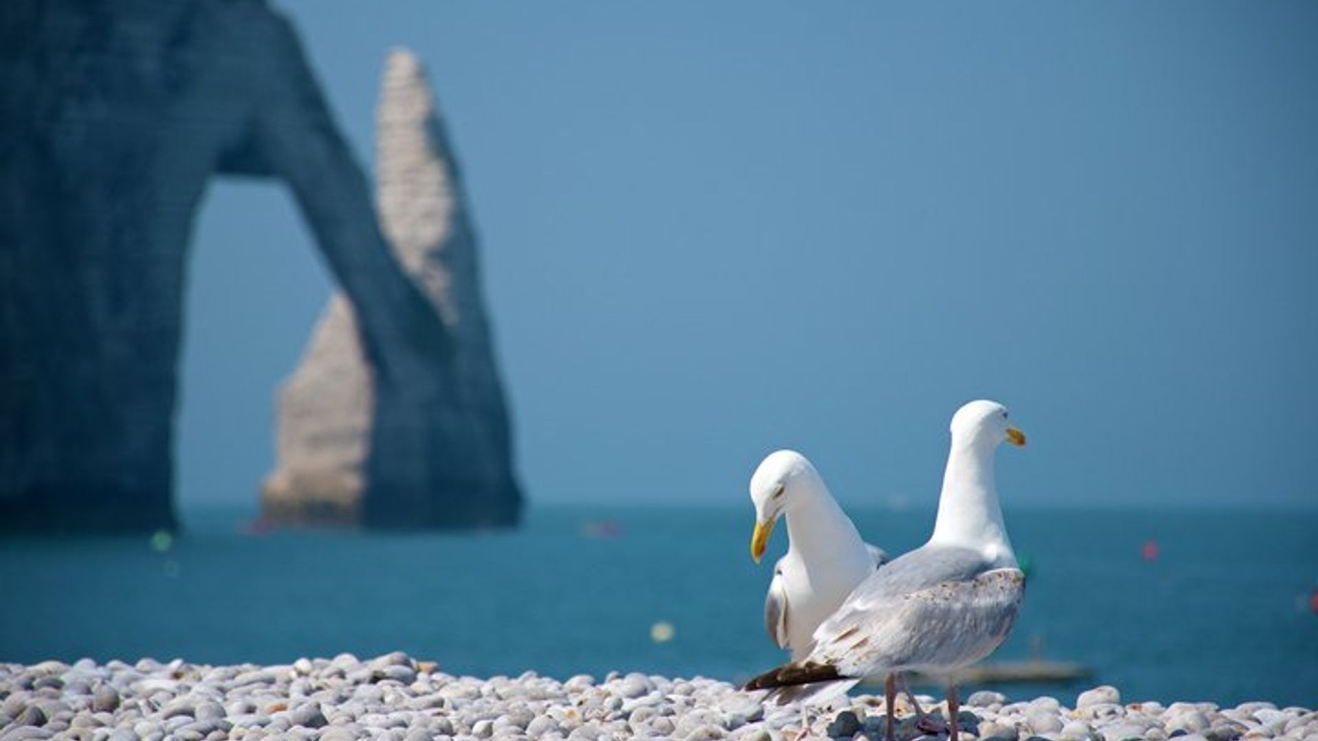 Excursión privada a Étretat desde Le Havre