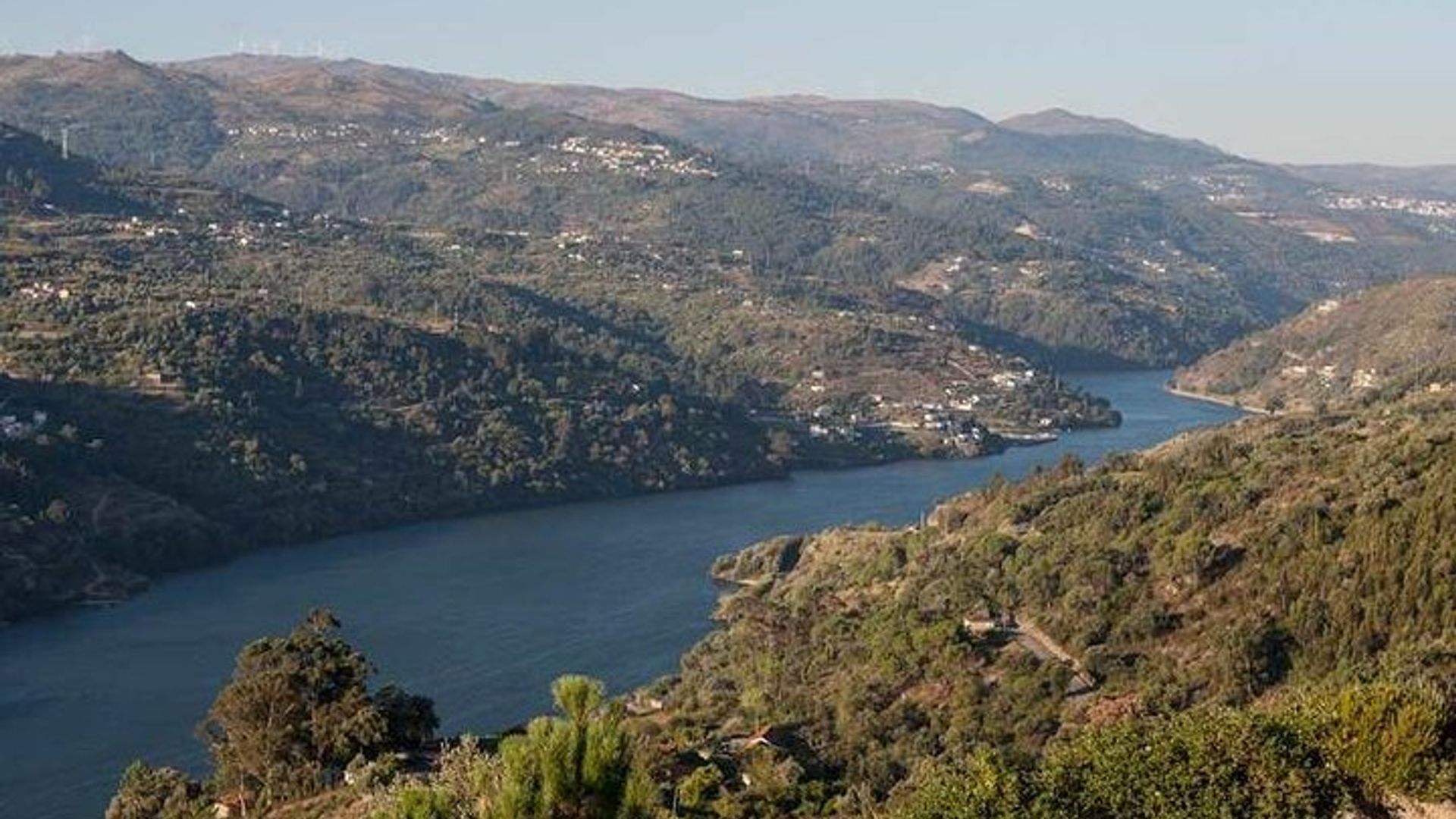 Tour privado de vino verde: Visita 2 fincas de vino con almuerzo incluido