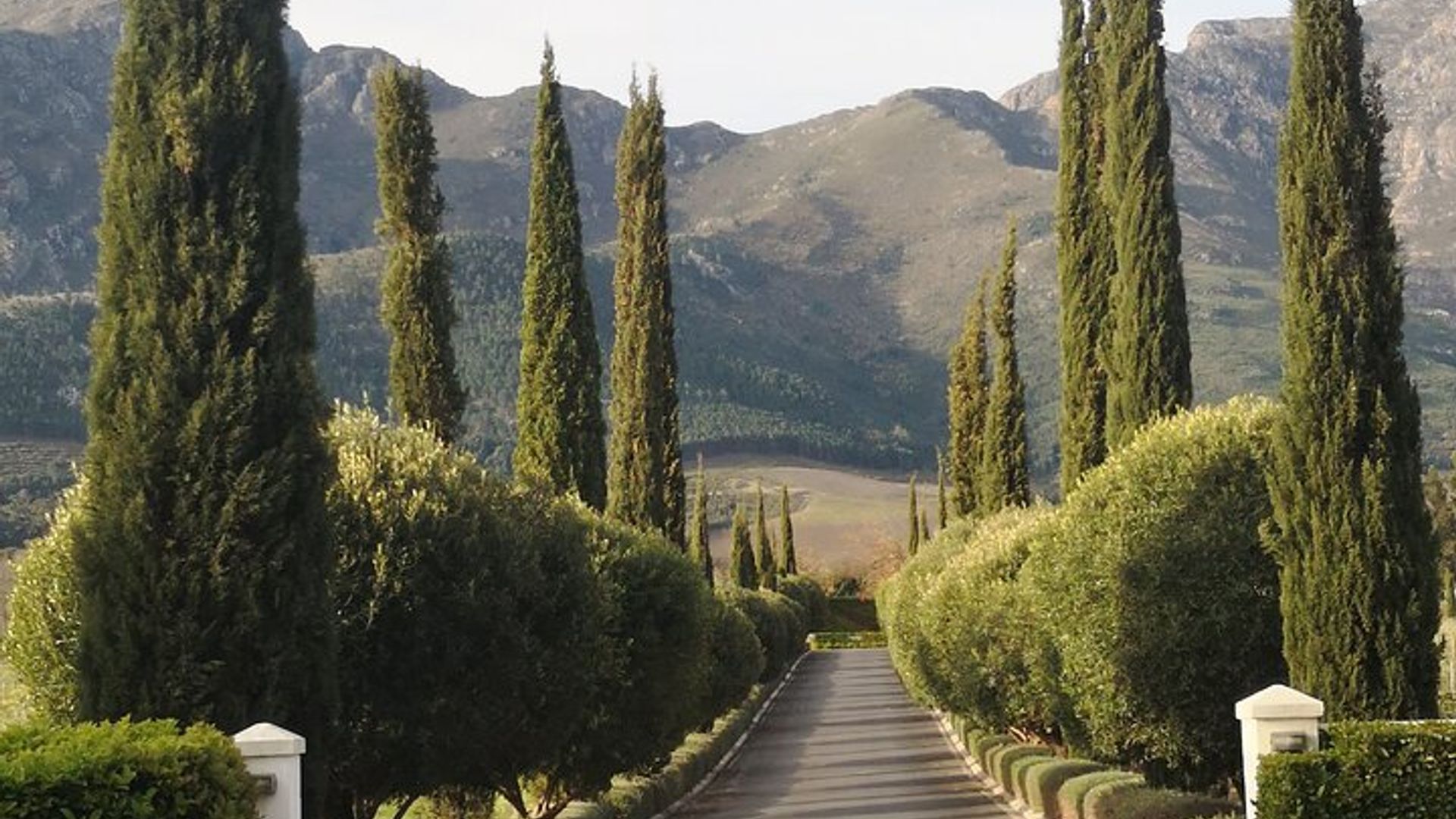 Visite privée d'une journée complète des vignobles à Franschhoek, basée au Cap