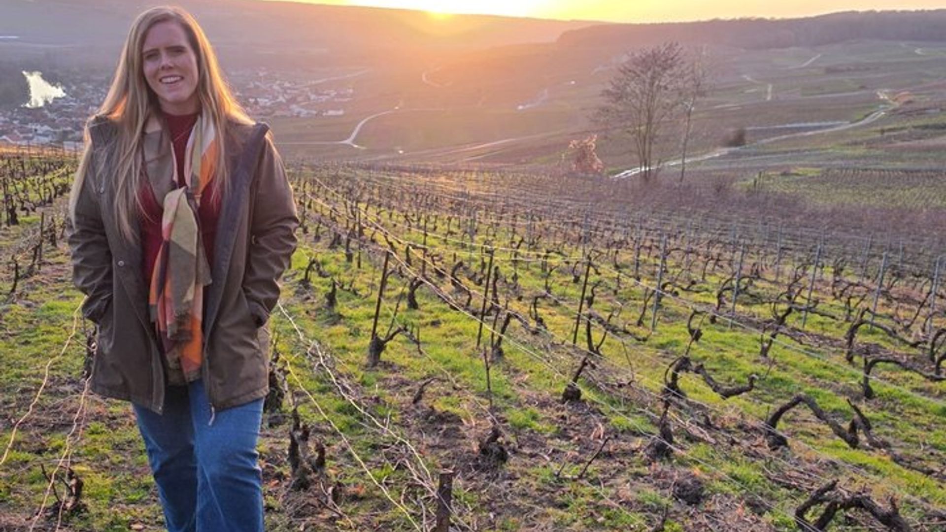 Discovery Tour Reims and Epernay