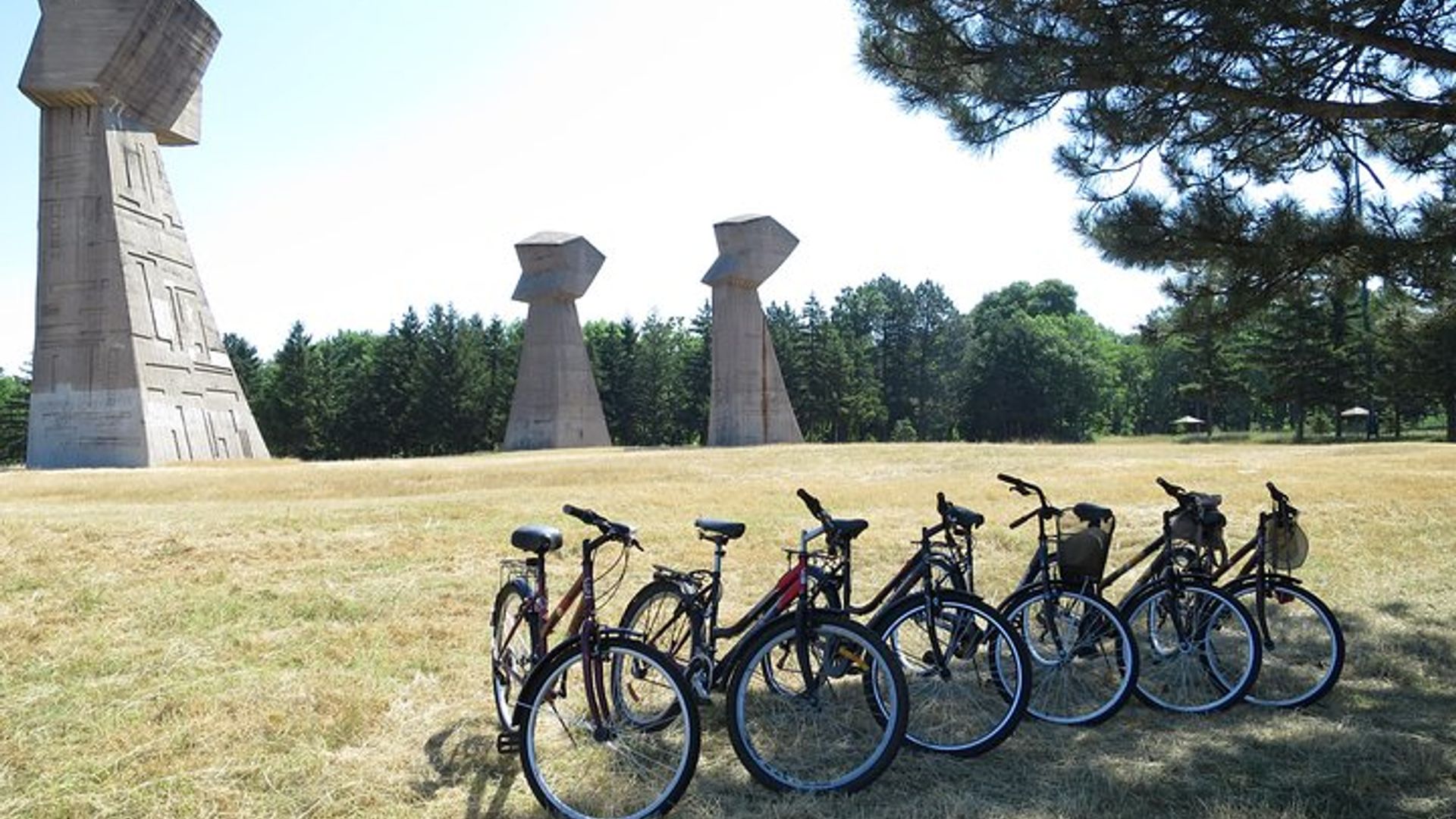 Niš Private Custom Tour by Bike