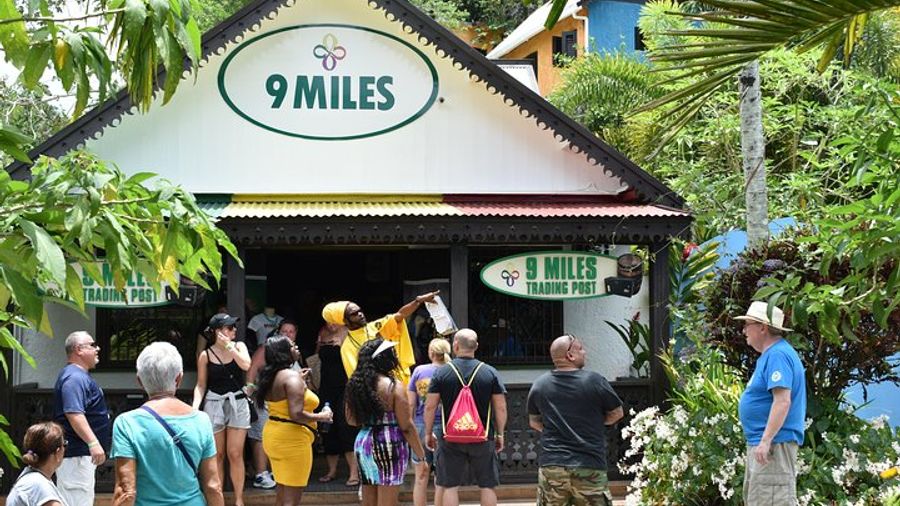 Bob Marley's Nine Mile Admission and Guided Tour from Montego Bay