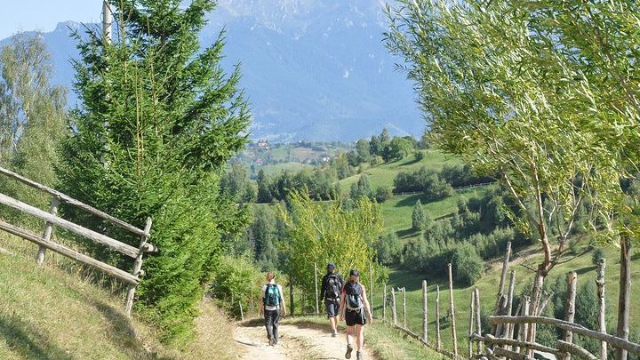 Small-Group Day Trip in Romanian Authentic Mountain Villages from Brasov
