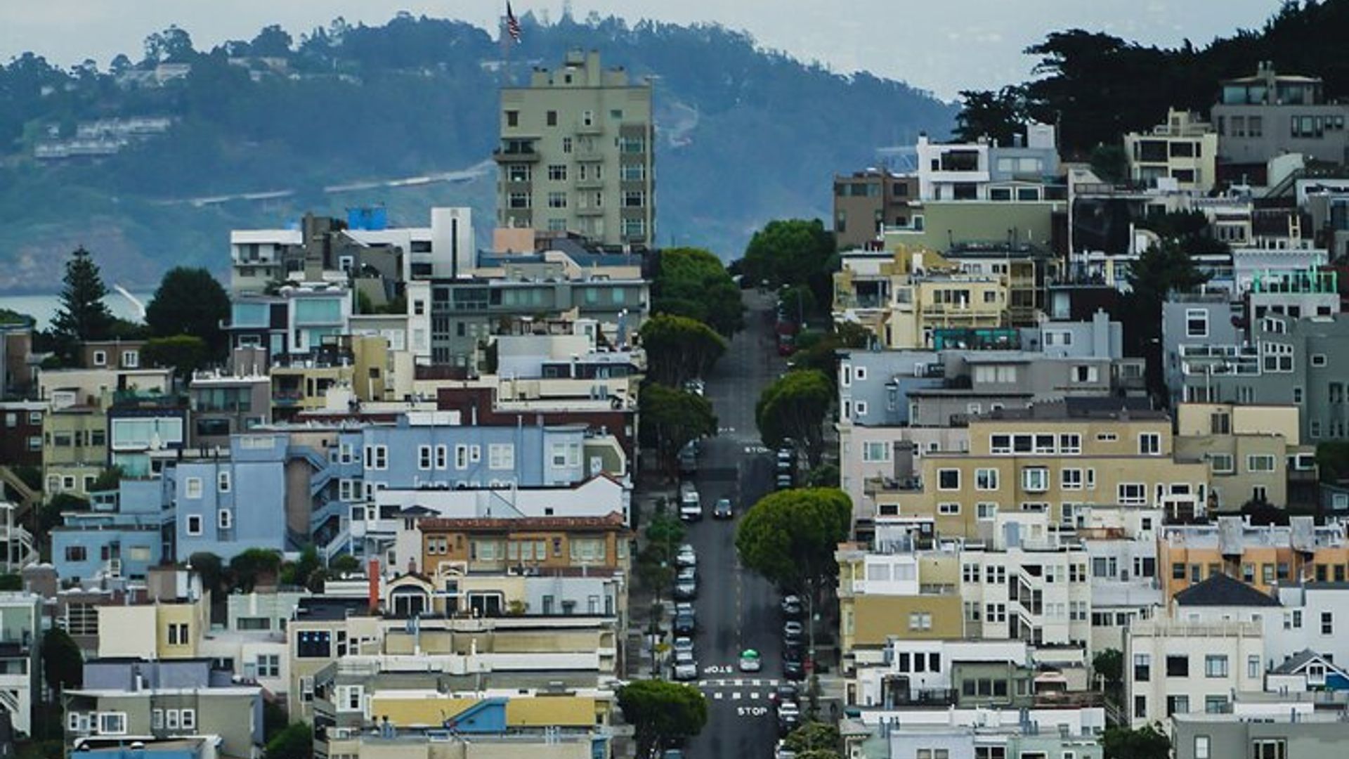 San Francisco Highlights Private E-Bike City Tour with Guide image 3