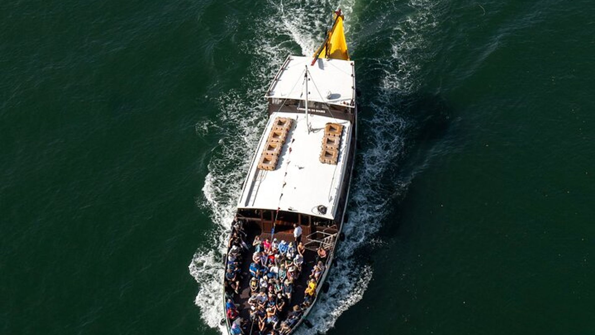 Tour a Pé, de Teleférico e de Barco em Grupo Reduzido em Porto - Meio Dia