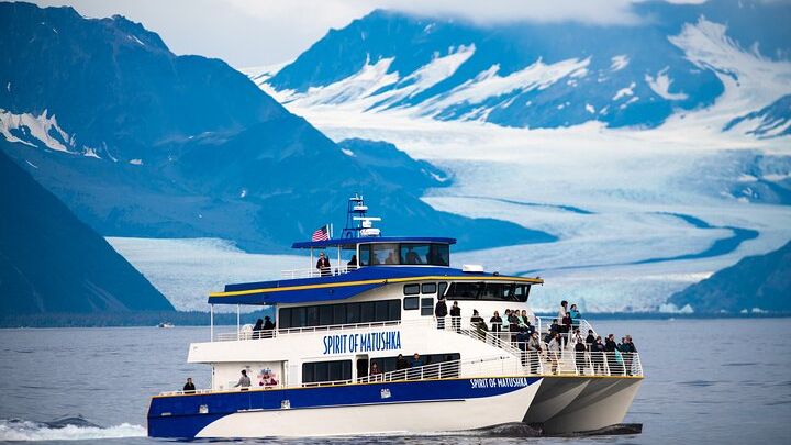 Seward: Resurrection Bay Spring Gray Whale, Wildlife Cruise