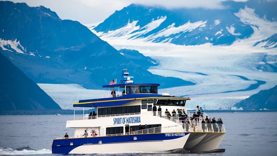 Seward: Resurrection Bay Spring Gray Whale, Wildlife Cruise