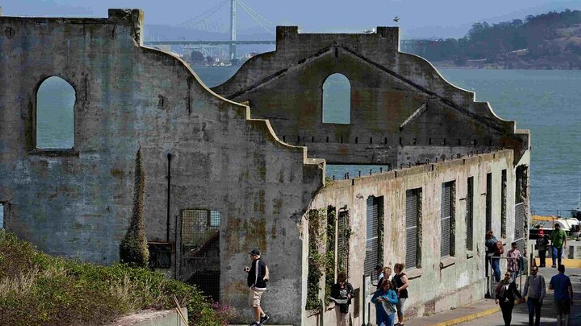 San Francisco Alcatraz Island and Guided Muir Woods Tour image 1