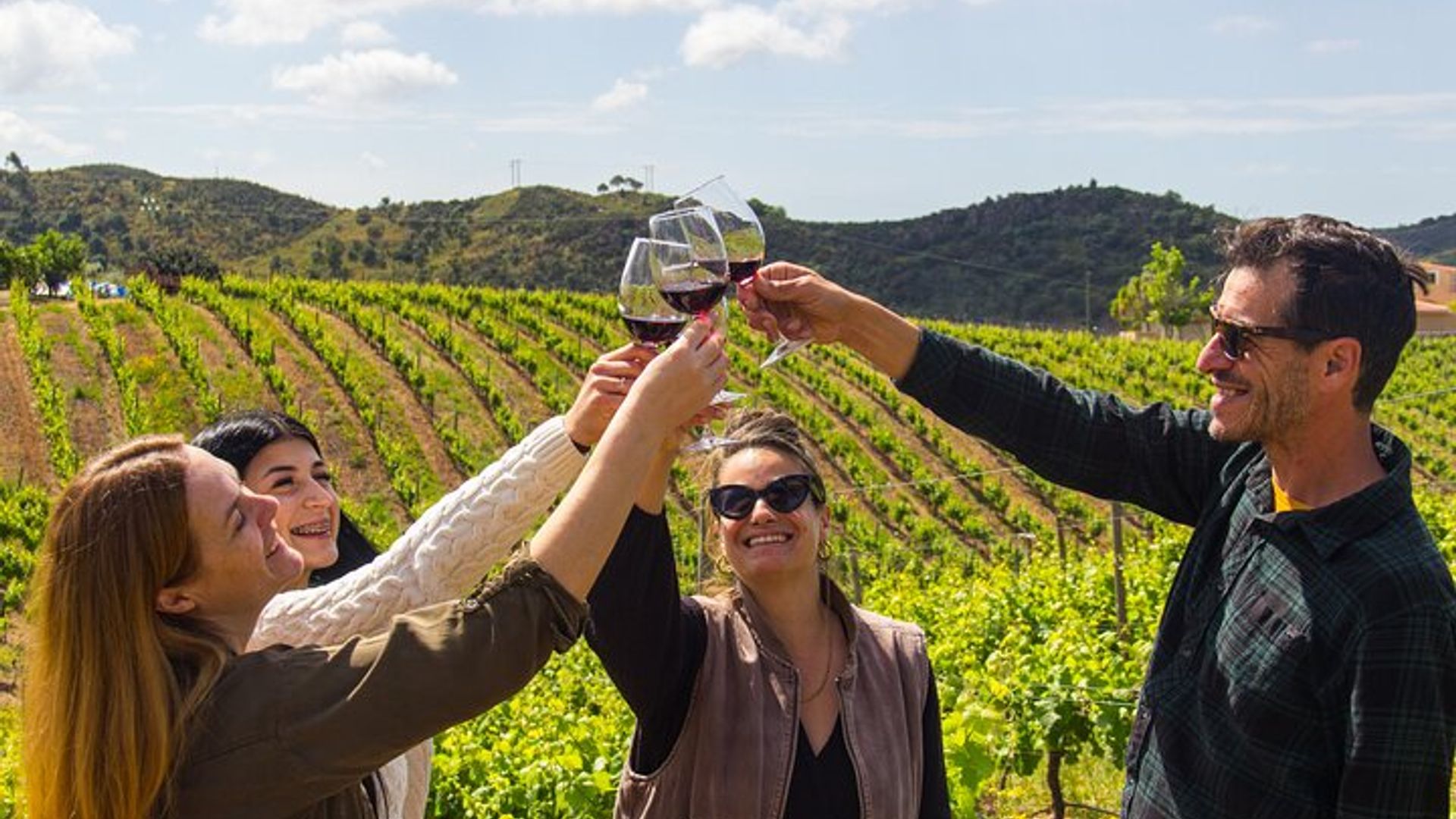 Cata de Vinos Albufeira : Boutique Winery Tour & Historic Silves