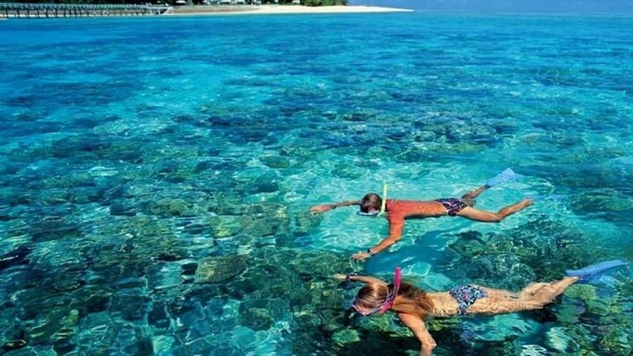 Ain Sokhna Red Sea Beach Day with Lunch (Private Transfers)