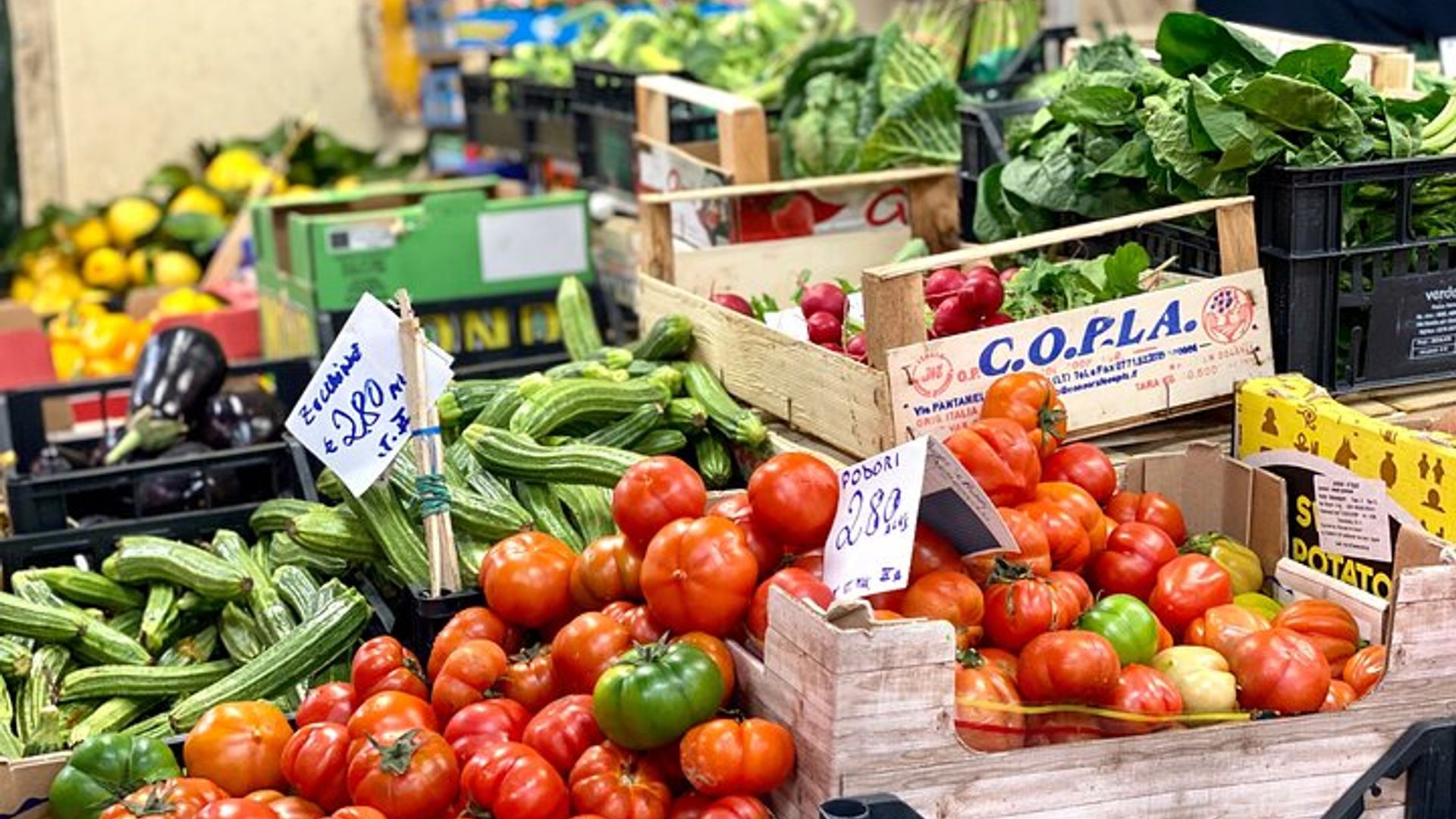 Florence: San Lorenzo Market Food and Wine Tour with Local Expert