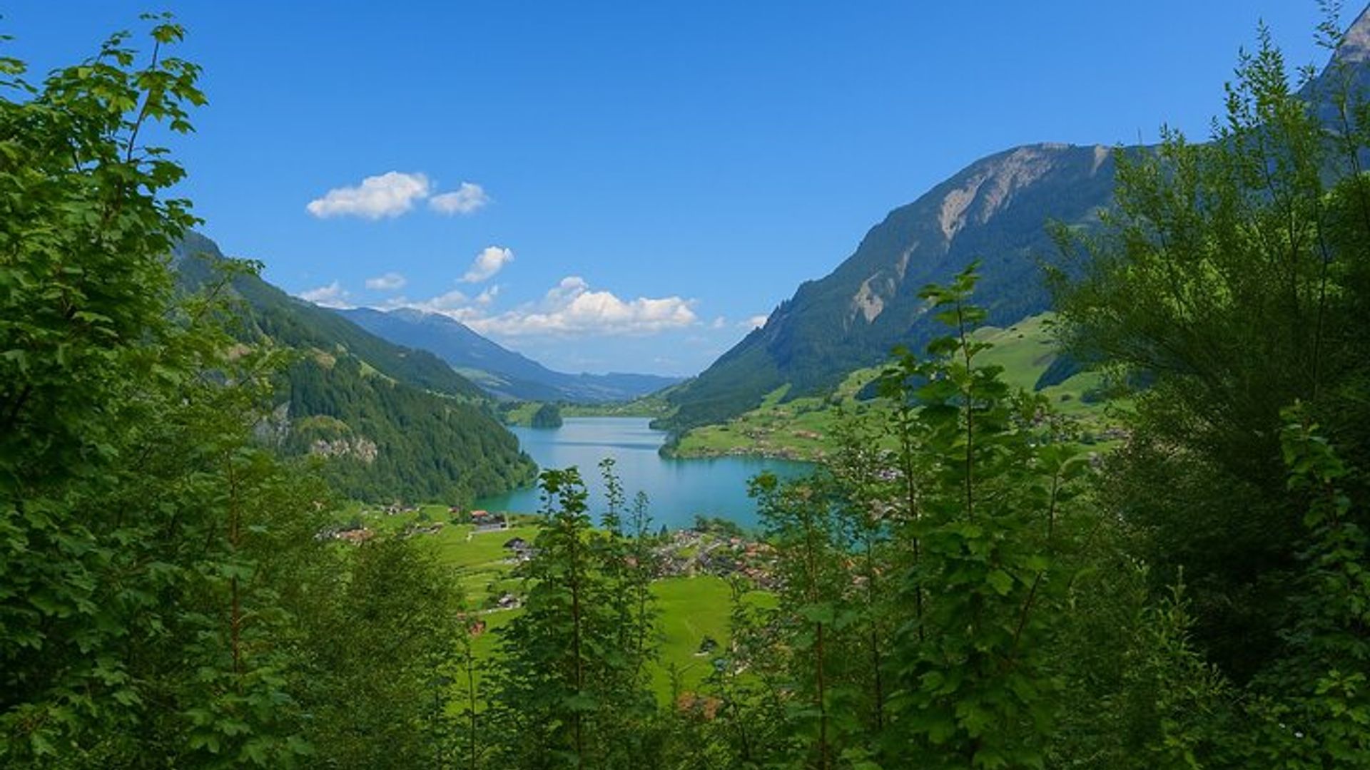 Excursion privée d'une demi-journée à Lucerne avec Guide local
