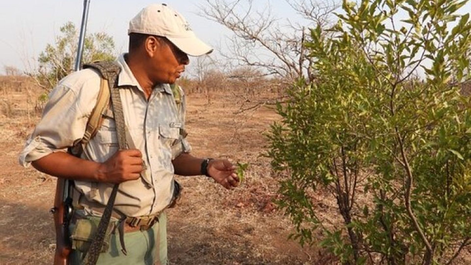 อุทยานแห่งชาติ Zambezi Walking Safari พร้อมการพักปิคนิคอย่างรวดเร็ว