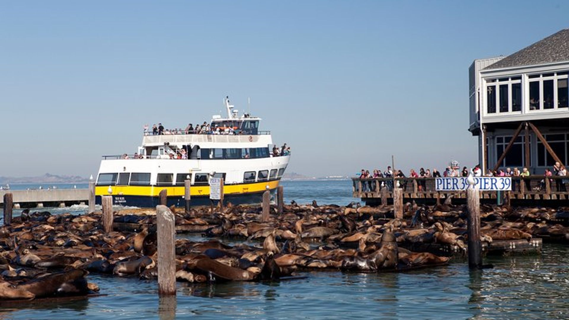 San Francisco Bay Highlights Cruise image 1