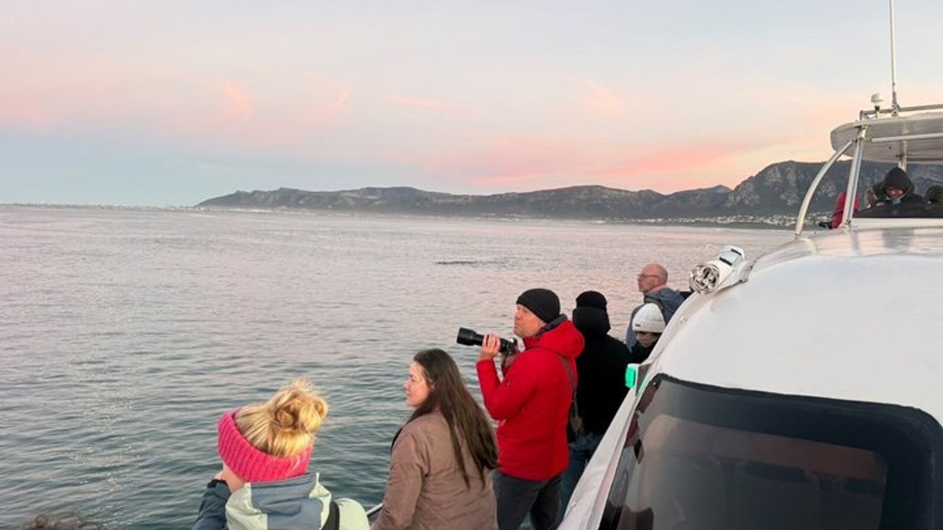 Shared Hermanus Boat Based Whale Watching and Penguin Adventure